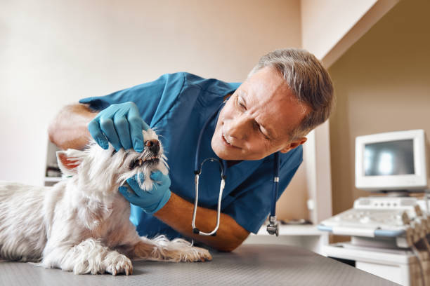 Best Emergency Dentist for Knocked-Out Tooth in Pawnee, OK